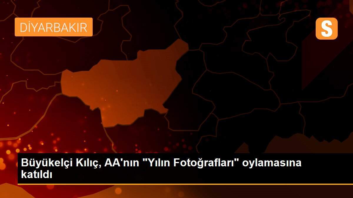 Büyükelçi Kılıç, AA\'nın "Yılın Fotoğrafları" oylamasına katıldı