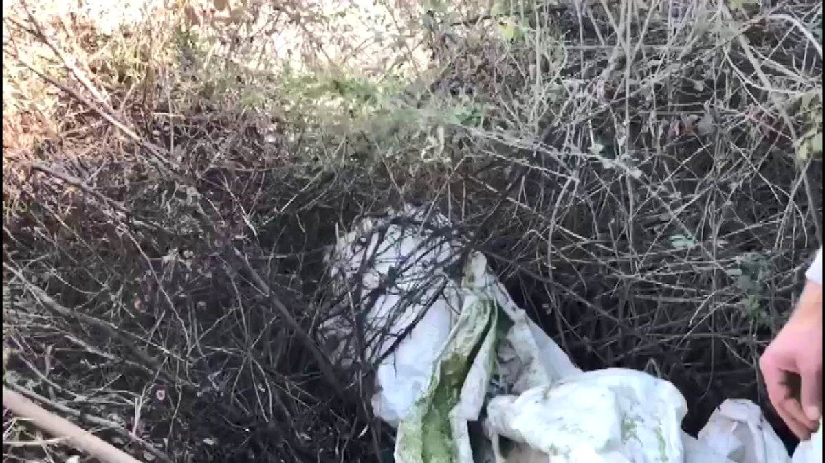 Diyarbakır\'da Kıran-11 Operasyonu başlatıldı