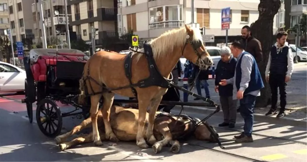 At vebası nedeniyle gelen yasağa isyan eden faytoncular, yılda 300 bin TL kazanıyor
