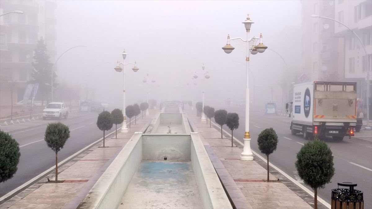 Malatya\'da yoğun sis