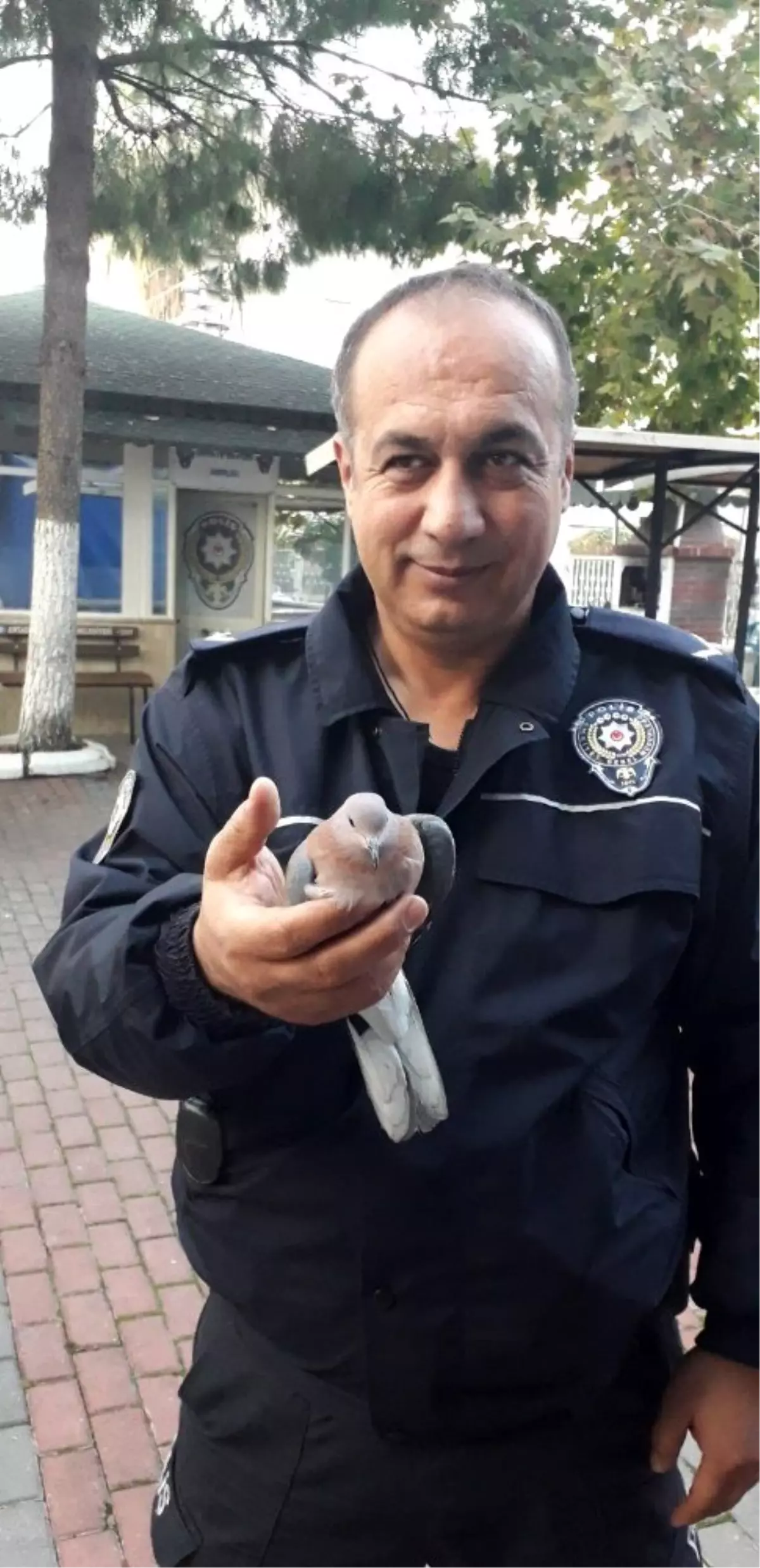 Yaralı Kumruya polis şevkati