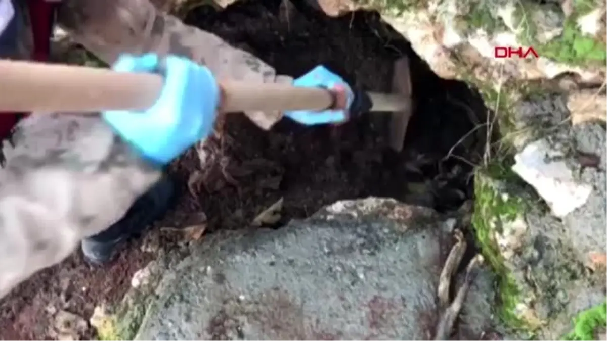 Adıyaman\'da uyuşturucu operasyonu 1 gözaltı