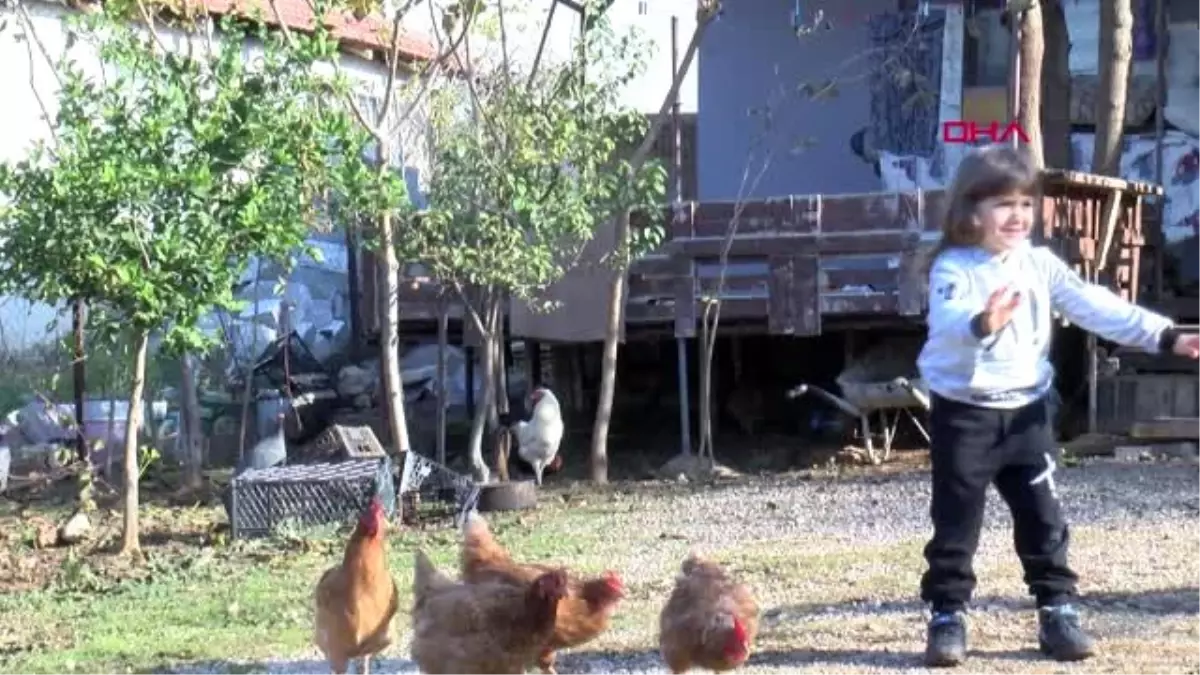 Antalya mavi ışık hastası poyraz\'ın keyfi yerinde