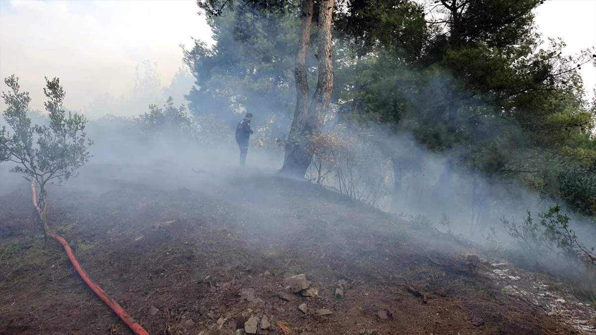 Bursa\'da ormanlık alanda çıkan yangına müdahale ediliyor