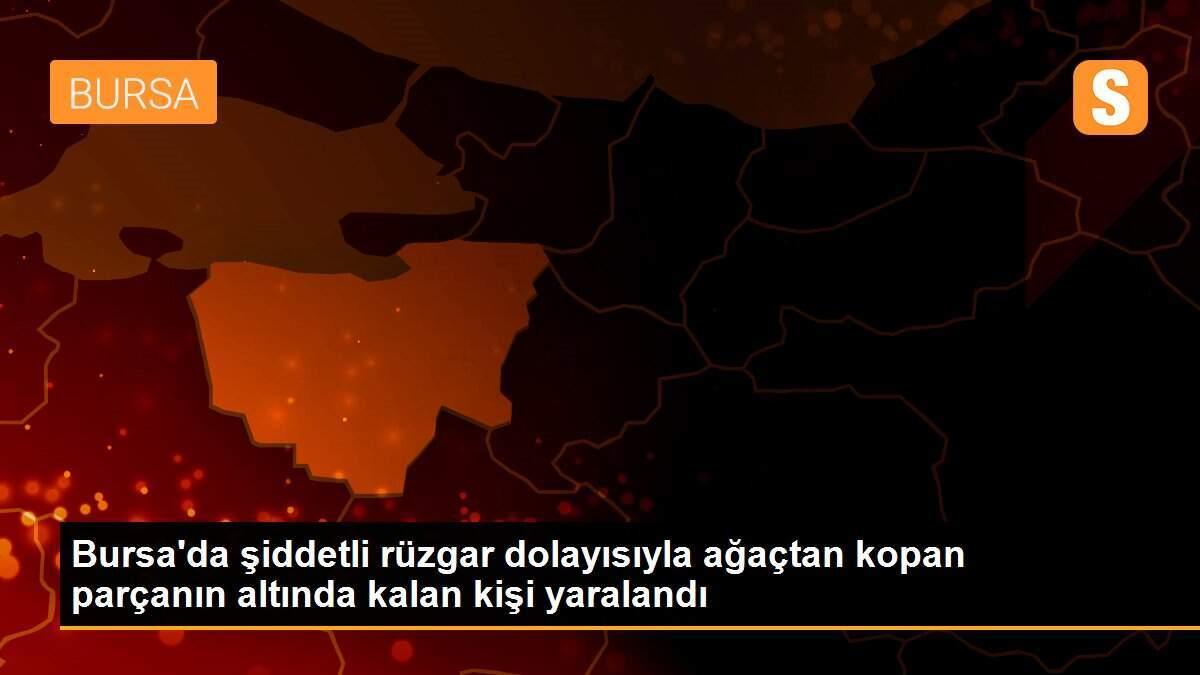 Bursa\'da şiddetli rüzgar dolayısıyla ağaçtan kopan parçanın altında kalan kişi yaralandı