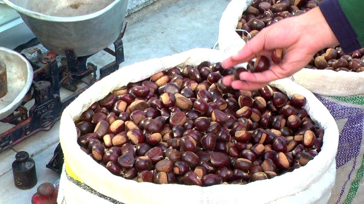 Düzce\'de Coğrafi tescil sayısı yükseliyor