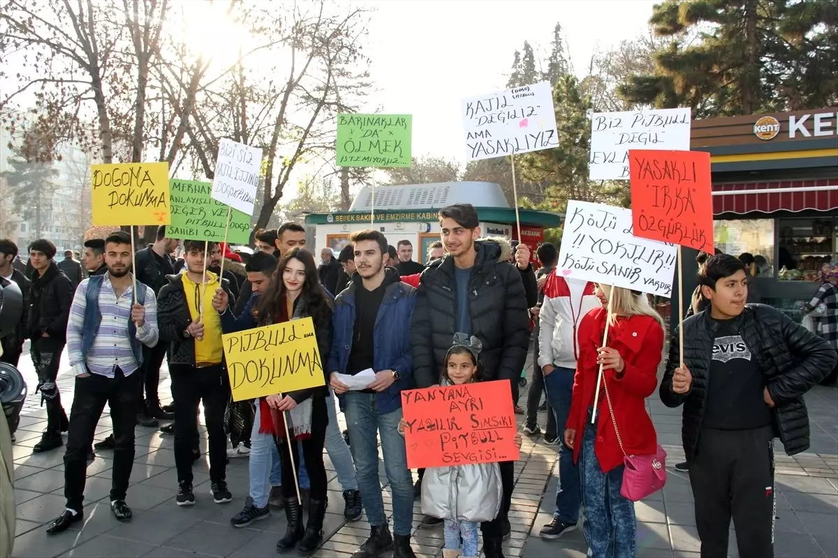 Hayvanseverlerden bazı köpeklerin "tehlikeli ırk" statüsünden çıkarılması talebi