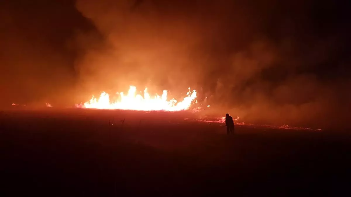 İznik Gölü kıyısındaki sazlık alanda yangın çıktı