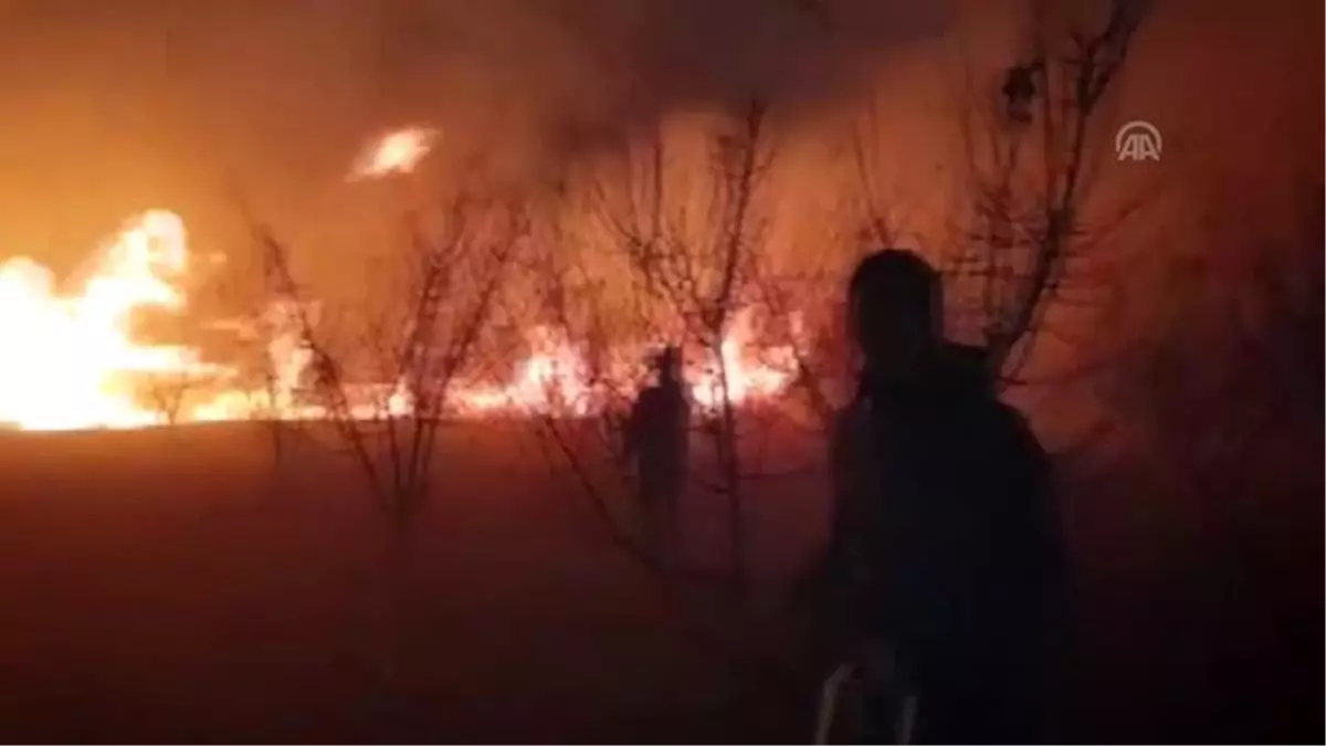 İznik Gölü kıyısındaki sazlık alanda yangın çıktı