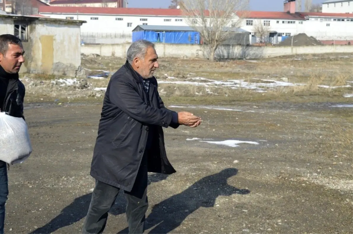 Kuşlar için her gün doğaya yem bırakıyorlar