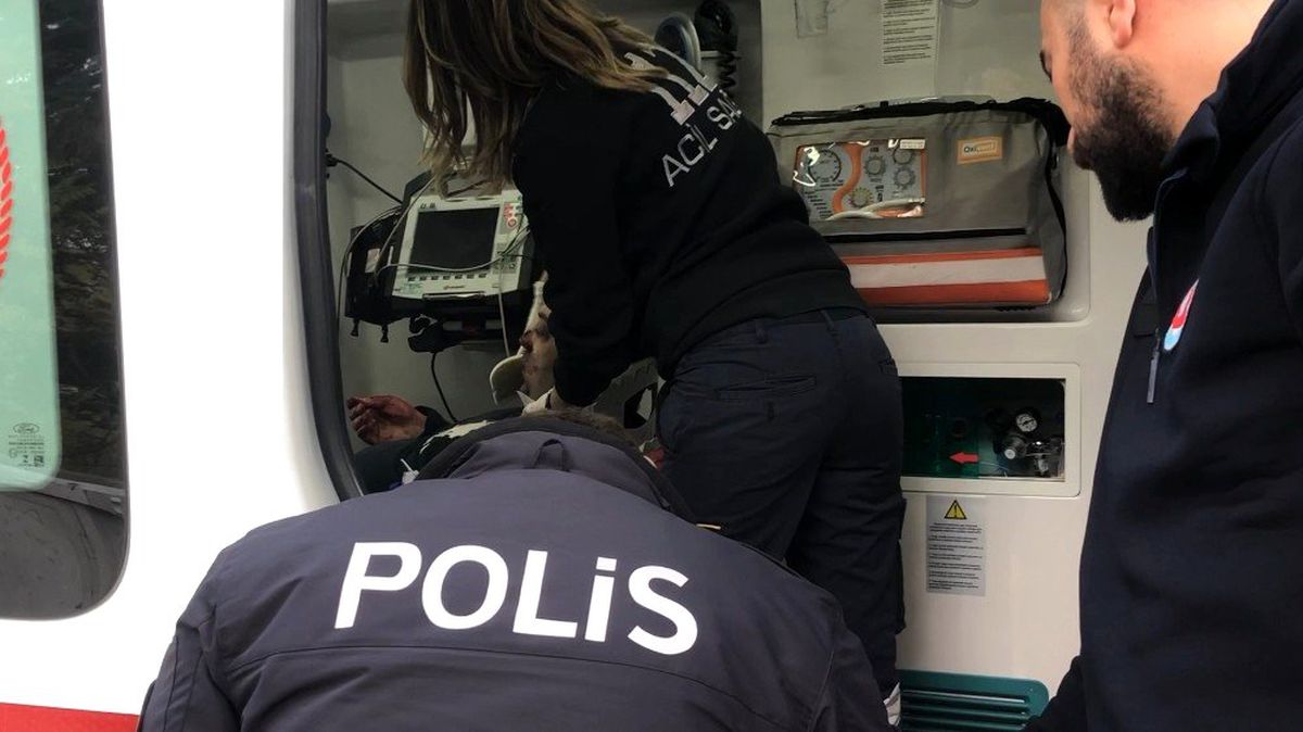 Lodosta devrilen ağacın altında kaldı