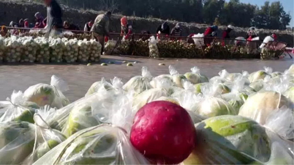 Turp işçisi kadınlar, AA\'nın "Yılın Fotoğrafları" oylamasına katıldı