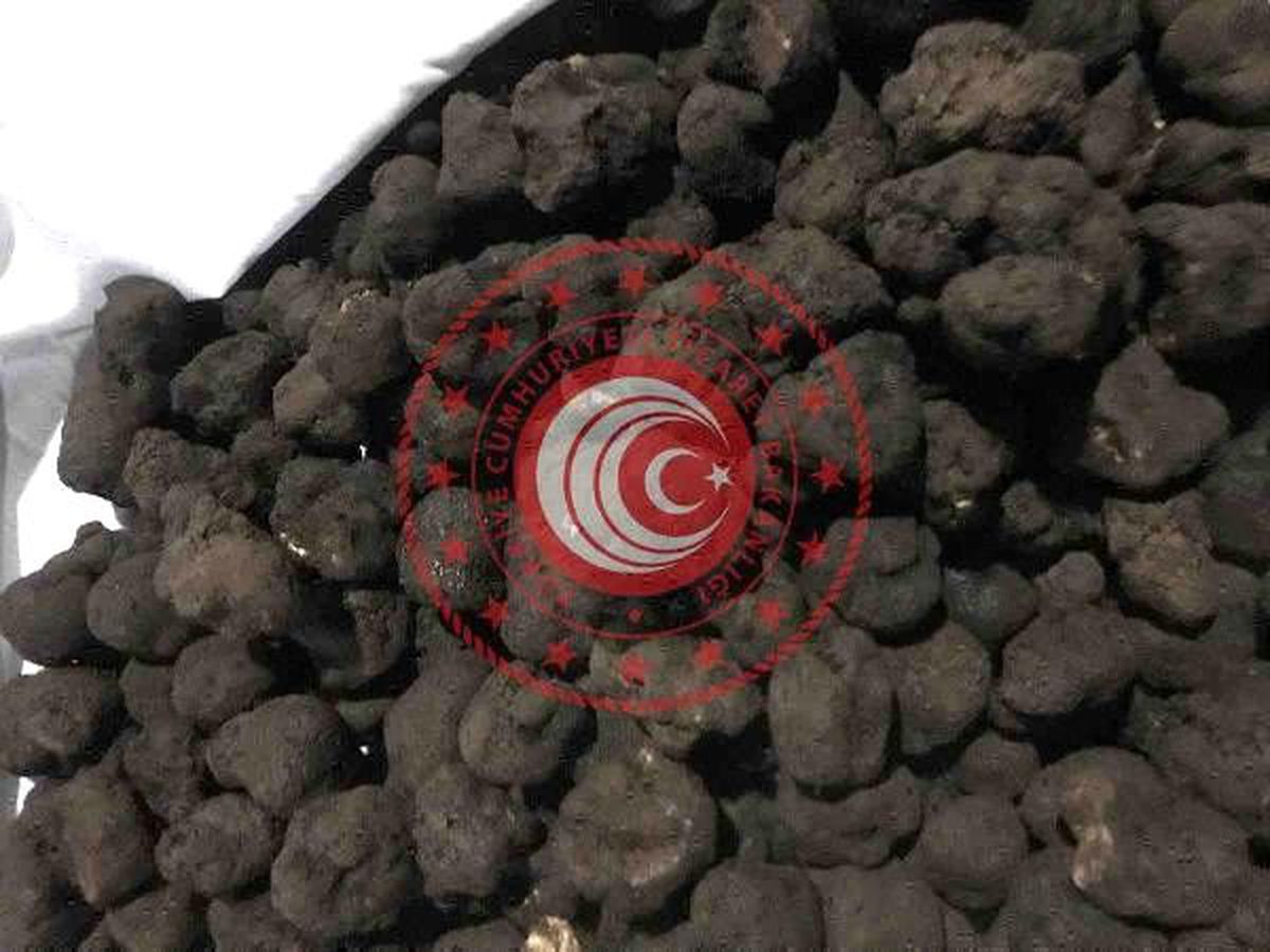 80 kilo trüf mantarı, ihale ile satışa çıkarıldı