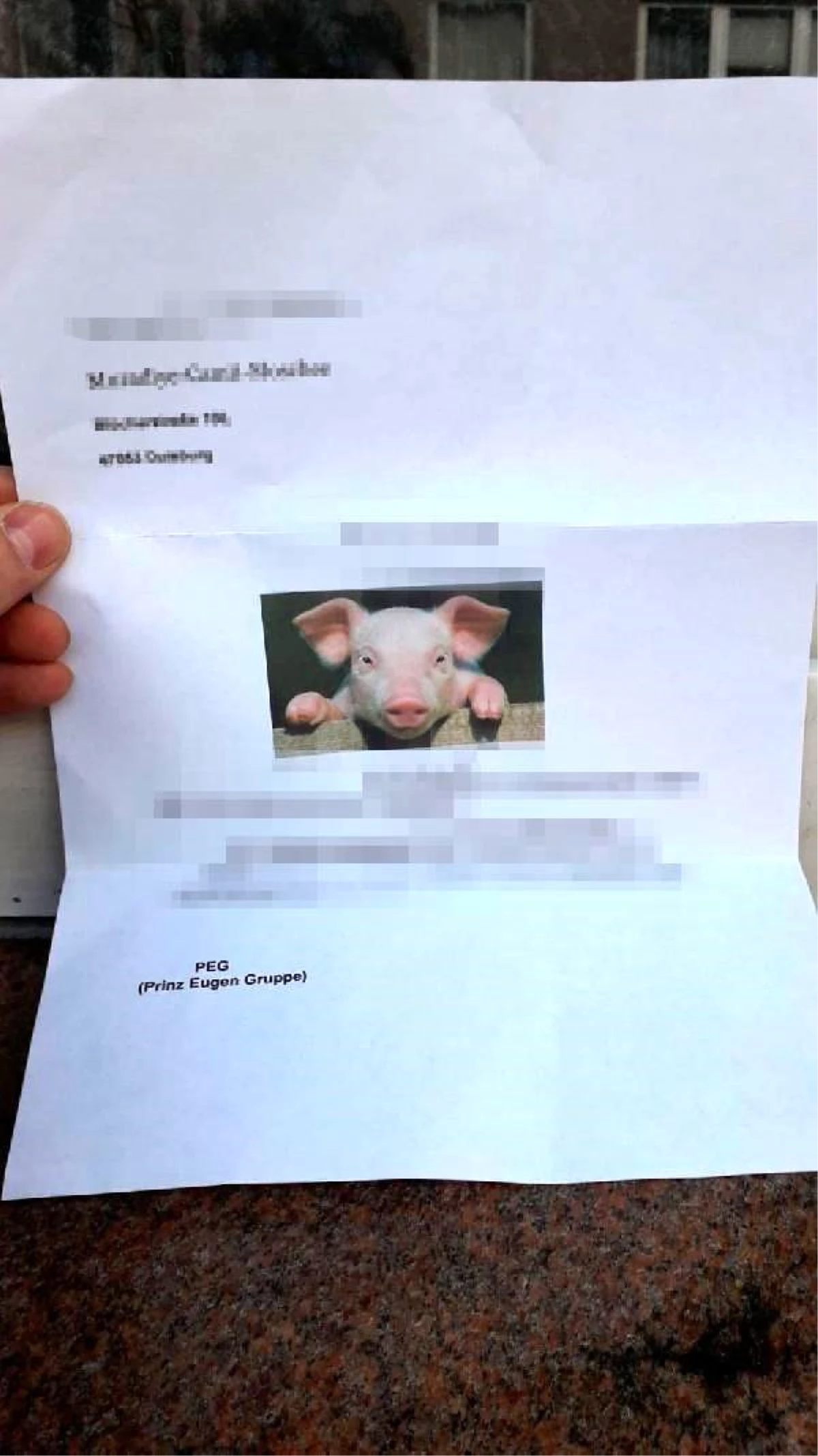 Almanya\'da camiye domuz fotoğrafı bulunan mektup gönderildi