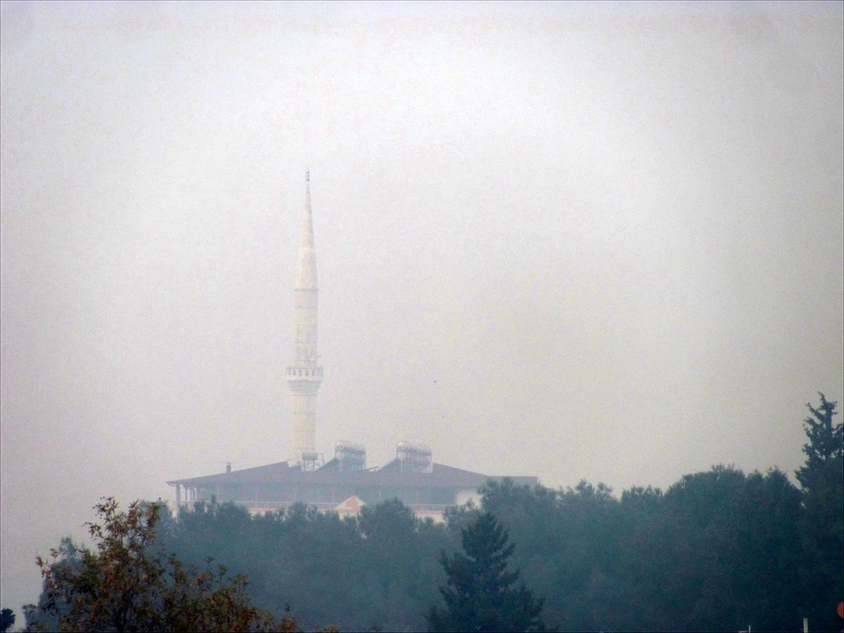 Araban ilçesinde yoğun sis