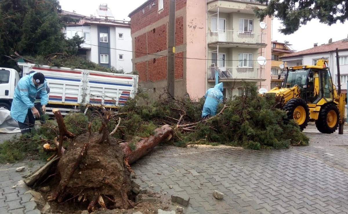 Denizli\'de fırtına sonrası temizlik çalışmaları başladı