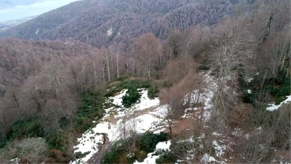 Kartepe\'ye beklenen kar düşmedi, tatilciler hayal kırıklığına uğradı