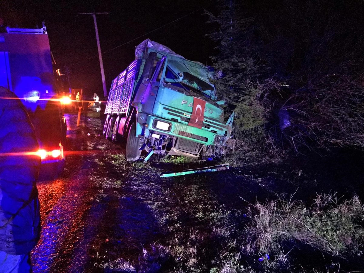 Manisa\'da ağaca çarpan kamyonun sürücüsü öldü