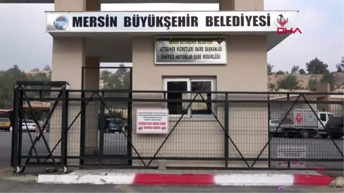 Mhp urla ilçe başkanı taşoku\'na silahlı saldırı