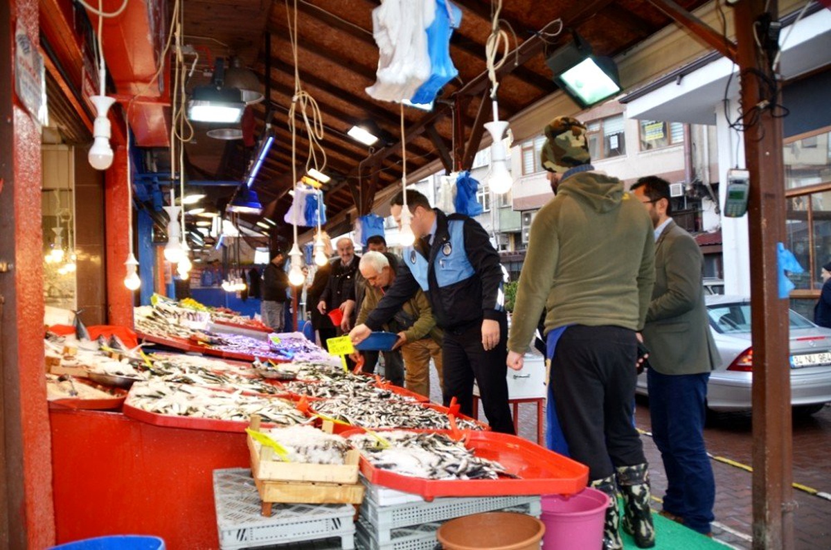 Safranbolu\'da balıkçılar denetlendi