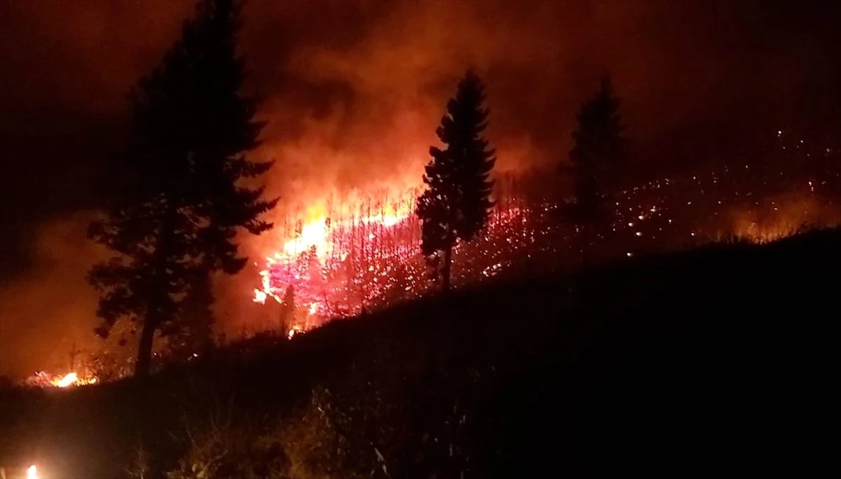 Trabzon\'da orman yangını