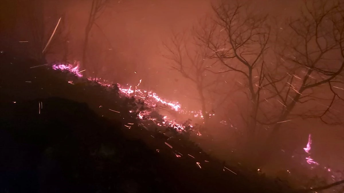Trabzon\'daki orman yangını