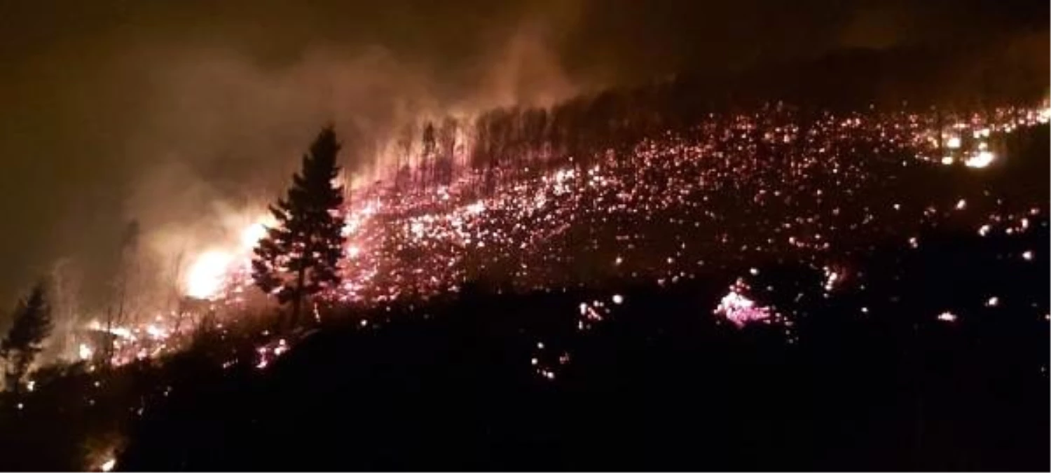Trabzon\'un Arsin ilçesinde orman yangını