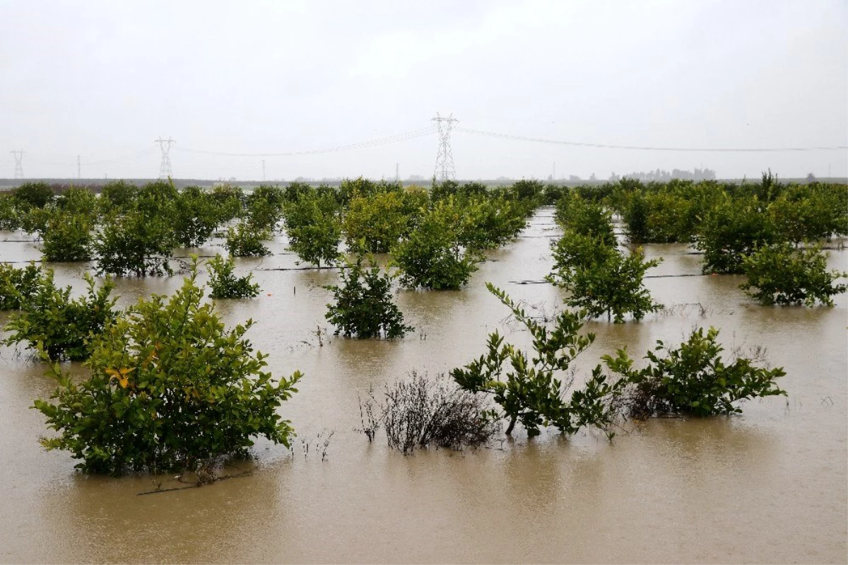 Adana\'da tarım arazileri sular altında kaldı