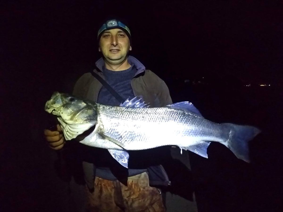 Amatör balıkçının oltasına 7 kilogram levrek takıldı
