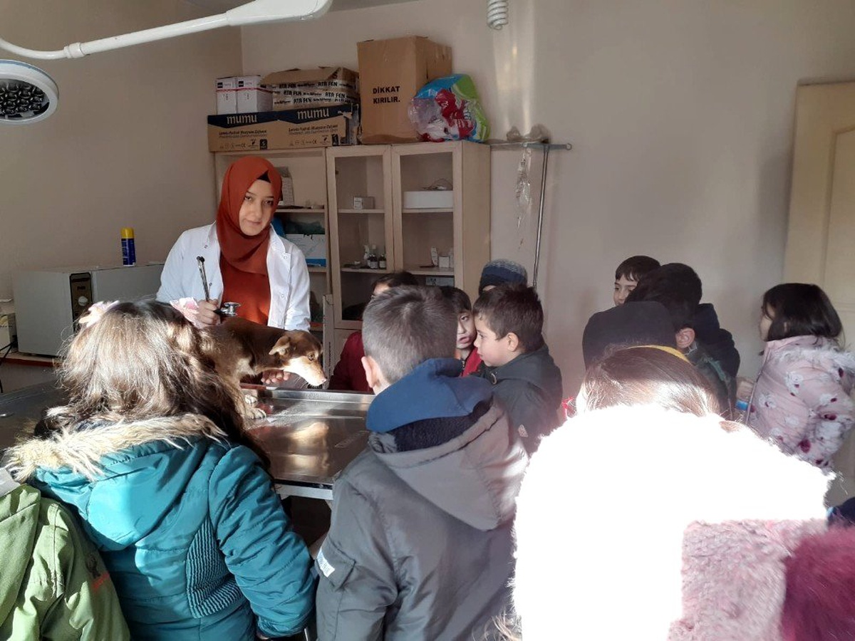Bozüyük\'te minikler barınaktaki dostlarını unutmadı
