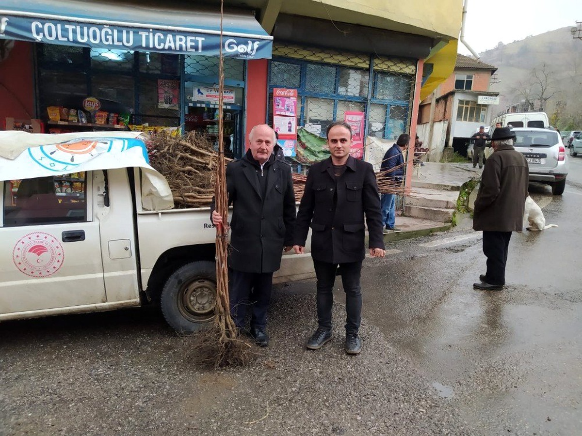 Çiftçilere 650 adet Trabzon Hurması fidanı verildi