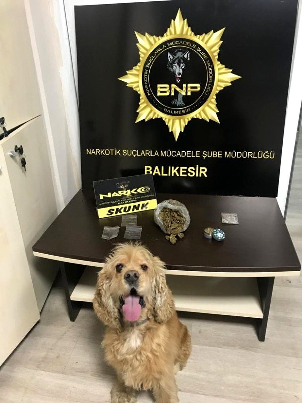Dedektör köpek Baht\'dan, tam isabet