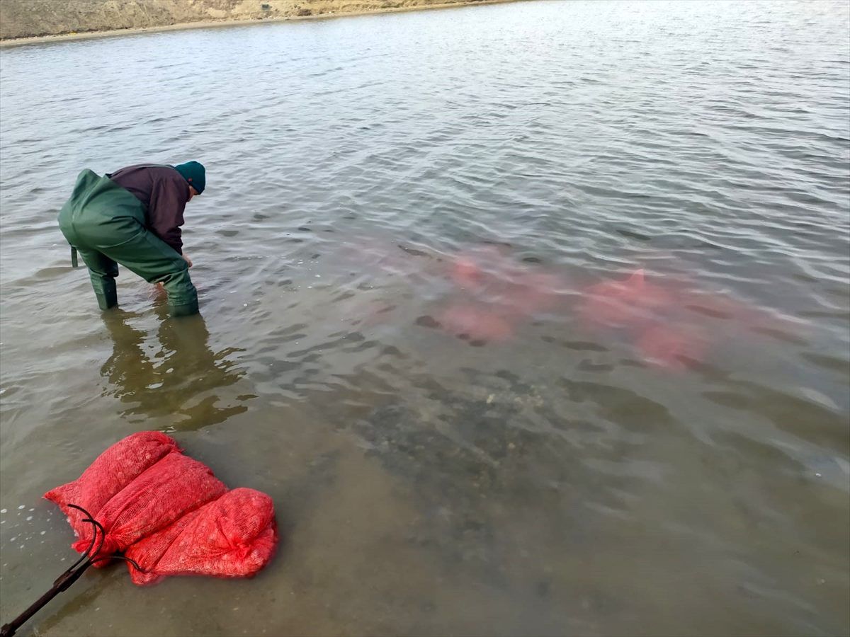 Edirne\'de kaçak toplanan 15 ton kum midyesi ele geçirildi