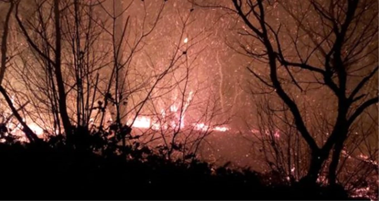 İçişleri Bakanlığı: Karadeniz\'deki yangınlarda sabotaj bulgusu yok