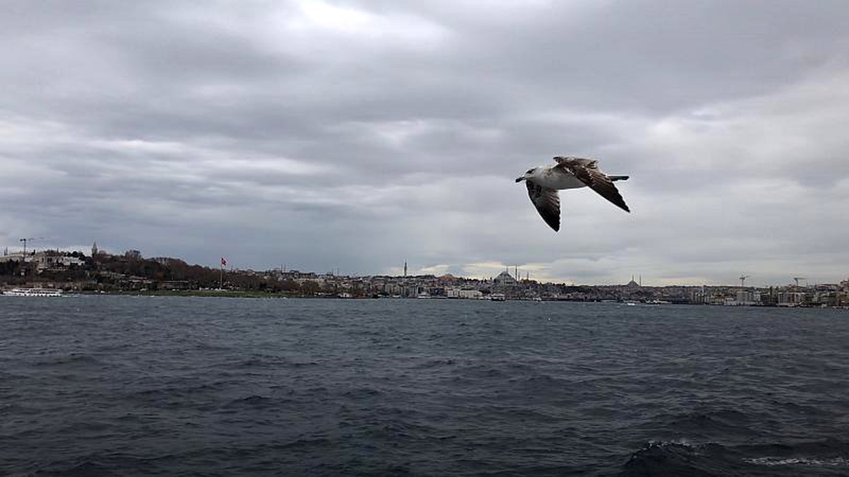 Kanal İstanbul Projesi: ÇED onayladı peki İstanbullu ne düşünüyor?