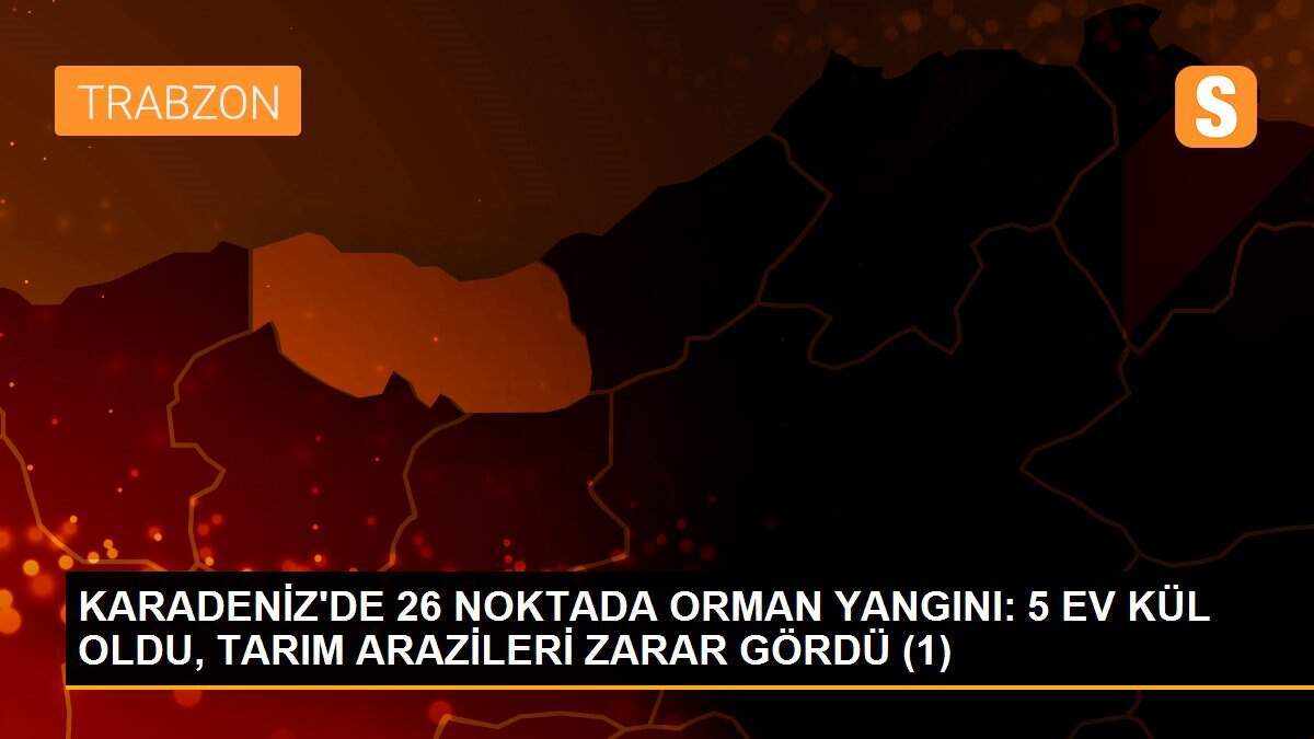 KARADENİZ\'DE 26 NOKTADA ORMAN YANGINI: 5 EV KÜL OLDU, TARIM ARAZİLERİ ZARAR GÖRDÜ (1)