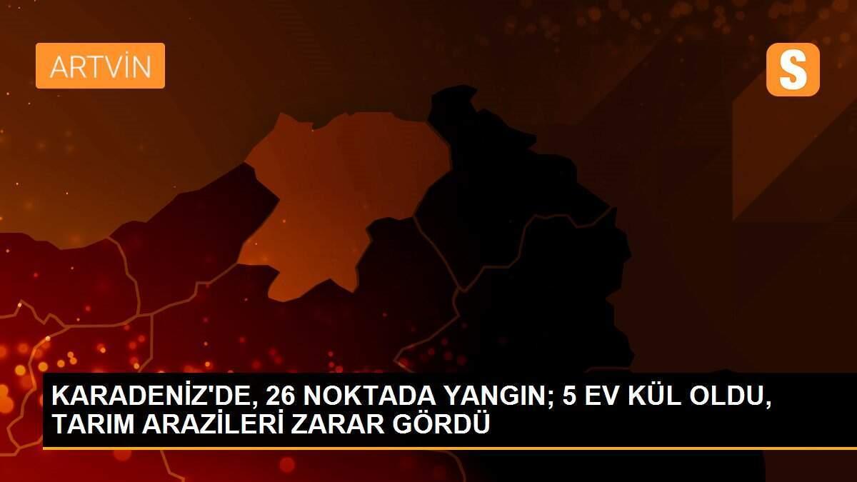 KARADENİZ\'DE, 26 NOKTADA YANGIN; 5 EV KÜL OLDU, TARIM ARAZİLERİ ZARAR GÖRDÜ