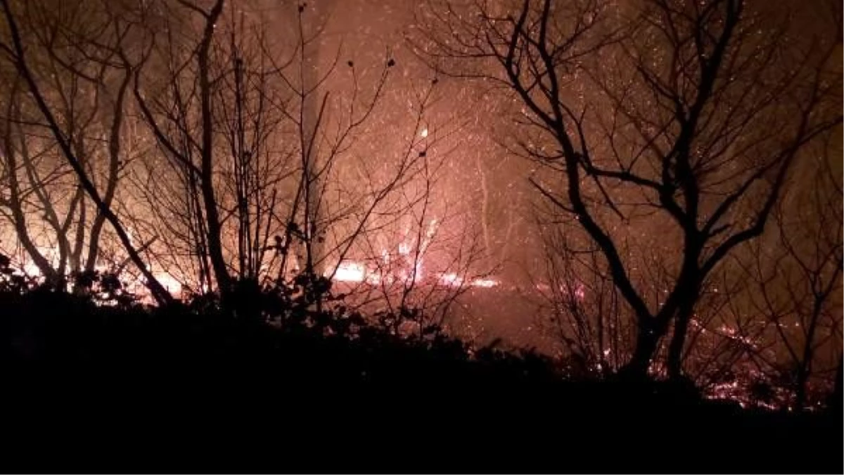 Karadeniz\'de 26 noktada yangın: 5 ev yandı, tarım arazileri zarar gördü (2)- Yeniden
