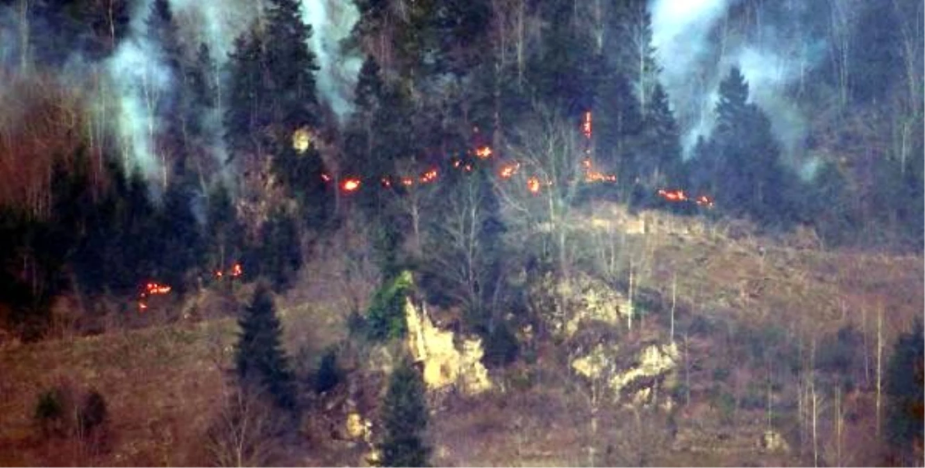 Karadeniz\'de 69 noktada yangın: 5 ev yandı, tarım arazileri zarar gördü (4)