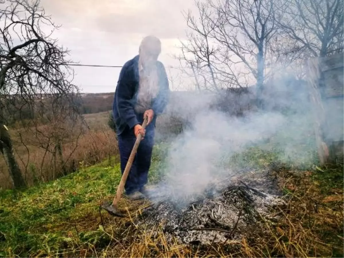 Karadeniz\'de 69 noktada yangın: 6 ev yandı, tarım arazileri zarar gördü (8)