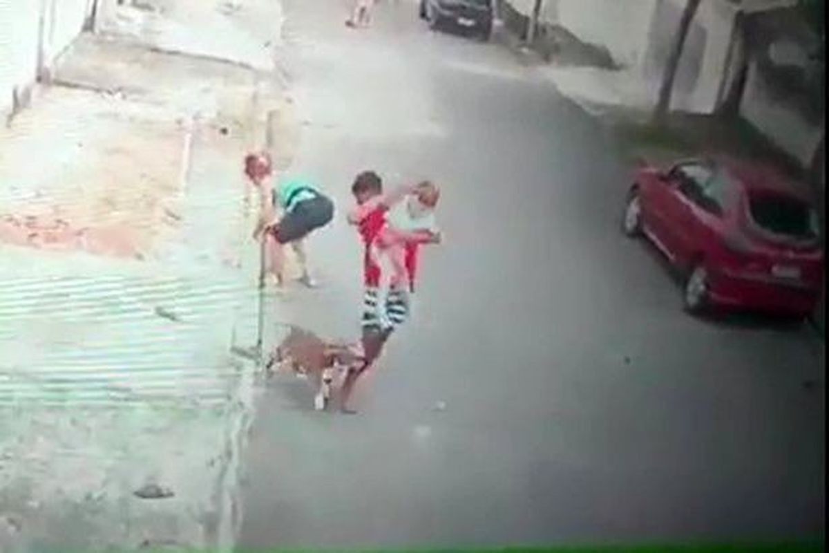 Küçük çocuğu pitbull saldırısından kurtaran genç kahraman ilan edildi