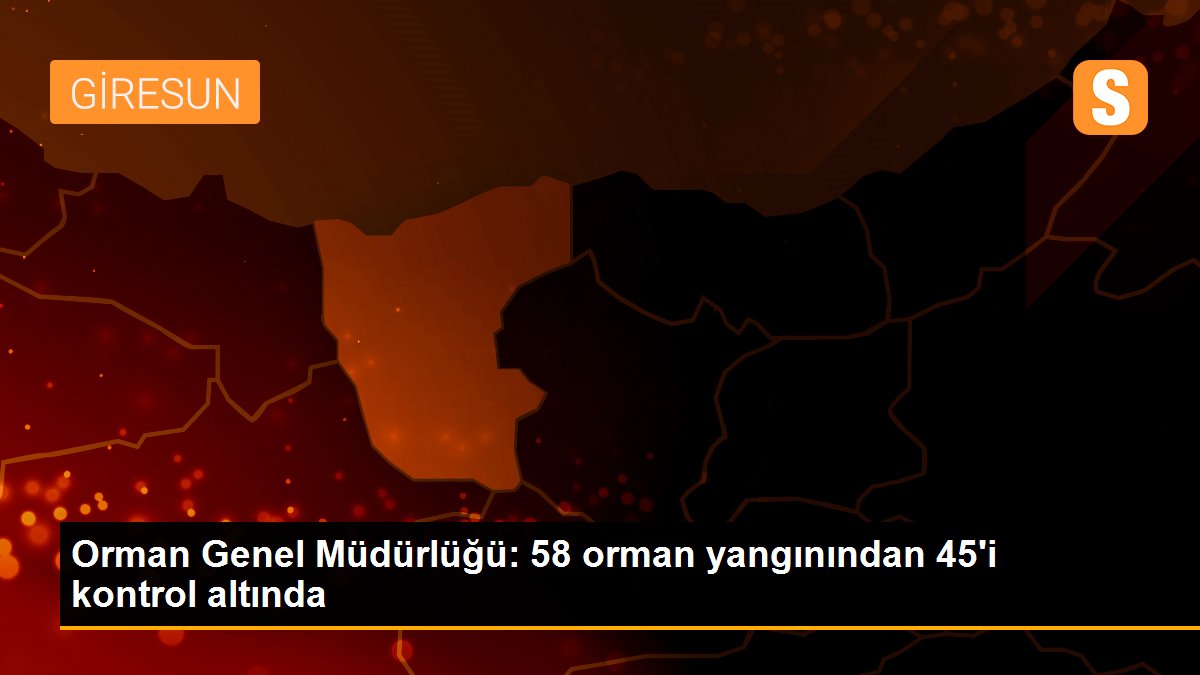 Orman Genel Müdürlüğü: 58 orman yangınından 45\'i kontrol altında