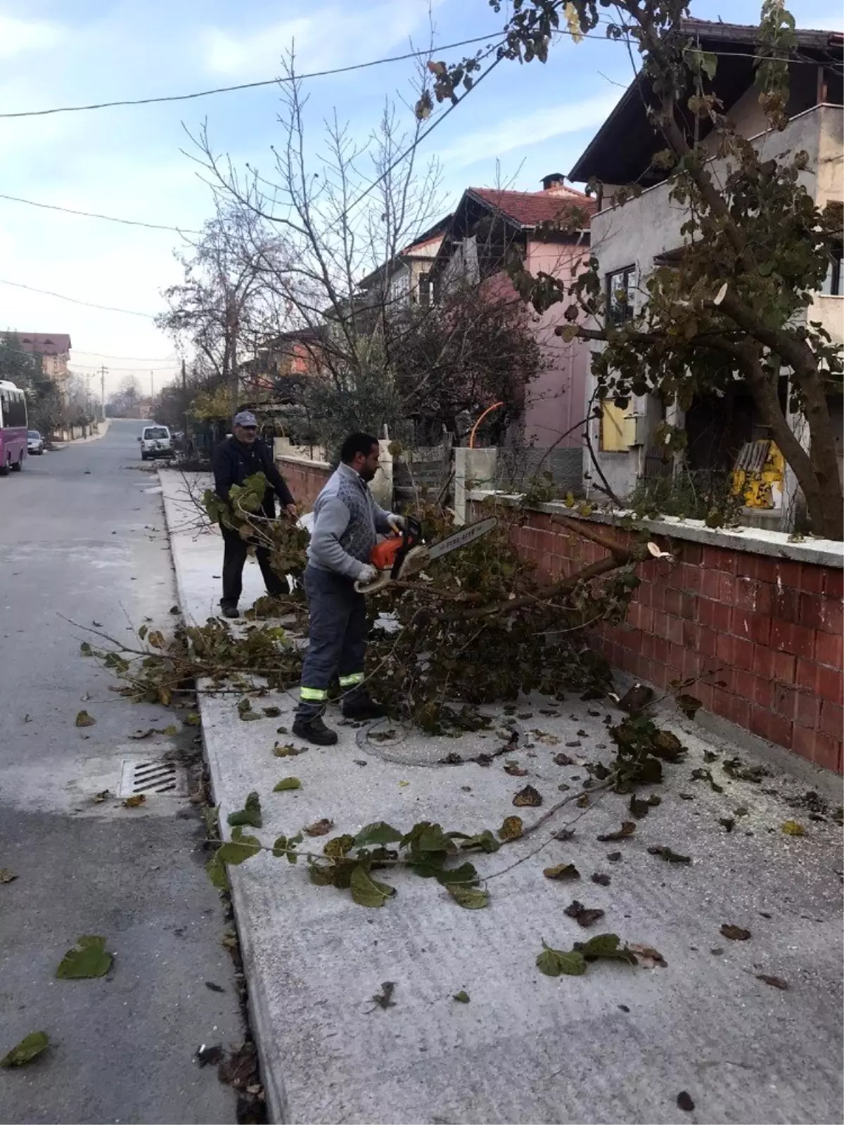 Sapanca\'da lodos sonrası hummalı çalışma