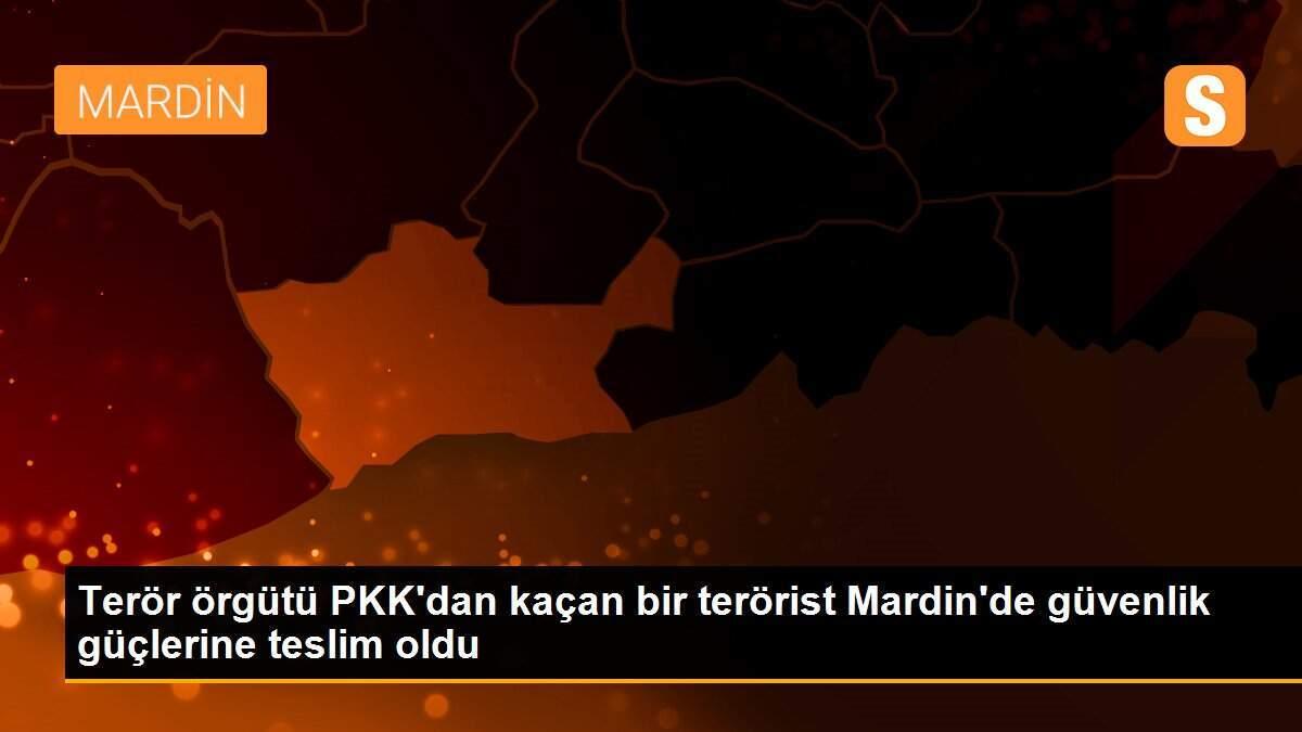 Terör örgütü PKK\'dan kaçan bir terörist Mardin\'de güvenlik güçlerine teslim oldu