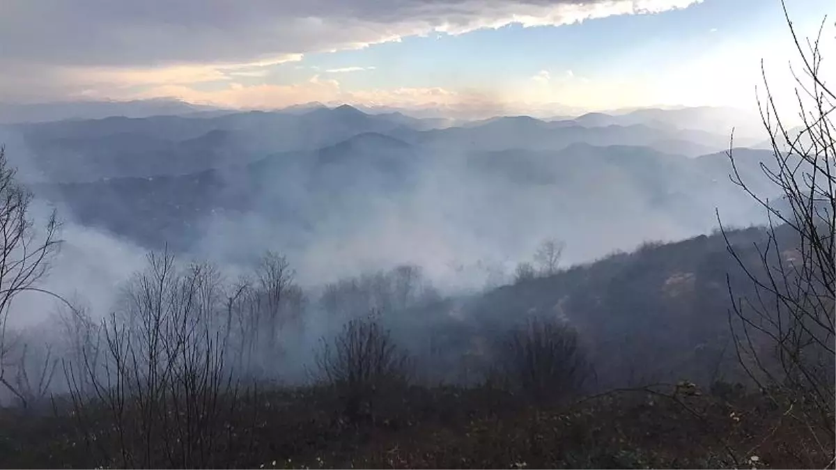 Trabzon, Giresun, Ordu ve Artvin\'de yayılan örtü yangını nedir?