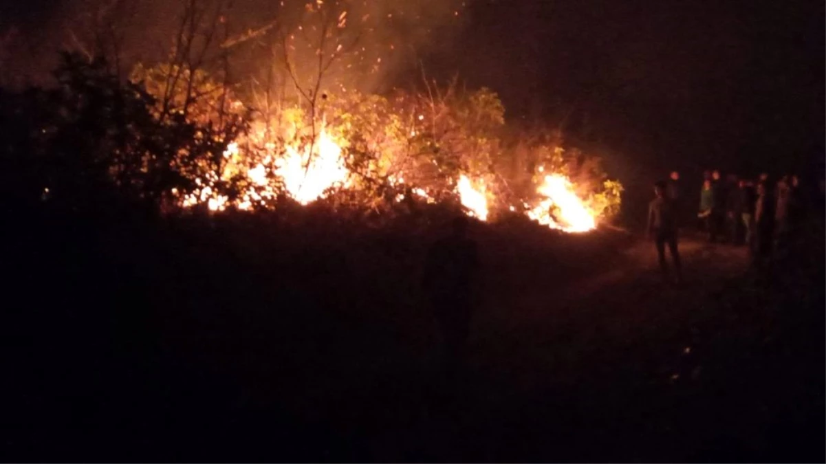 Trabzon\'un Dernekpazarı ilçesi Akköse mahallesinde de yeni örtü yangını başladı