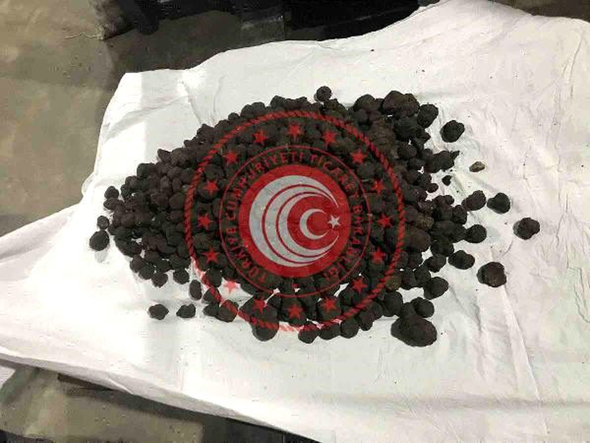 Trüf mantarına alıcı çıkmadı, fiyatı yarıya düştü