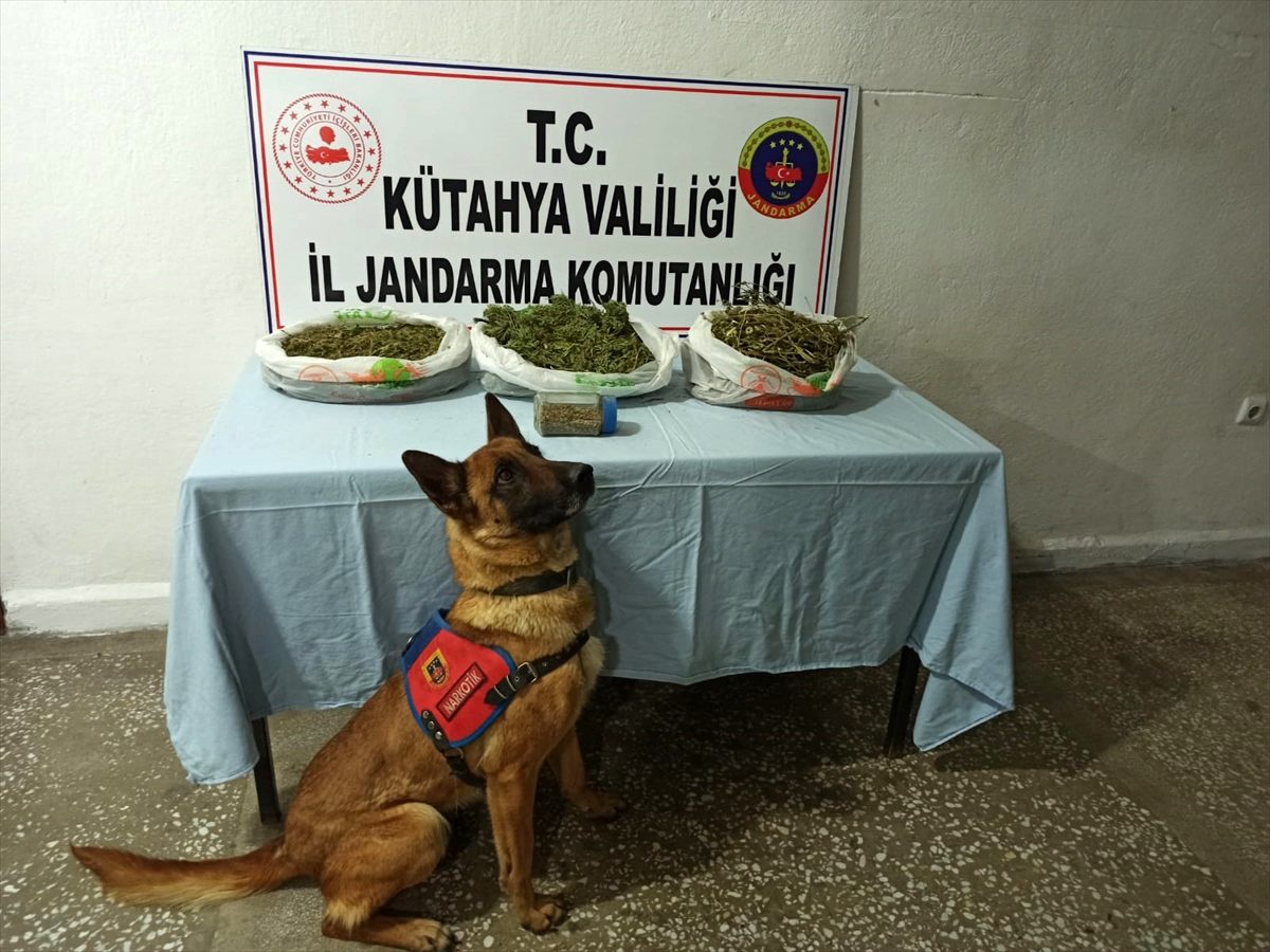 Altıntaş\'ta evinde uyuşturucu ele geçirilen zanlı gözaltına alındı