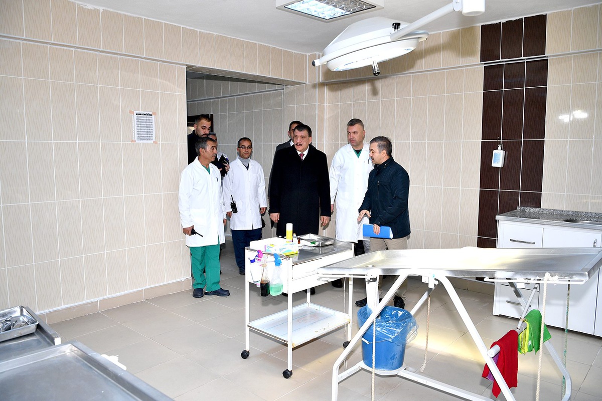 Barınakta 335 hayvan sahiplendirildi