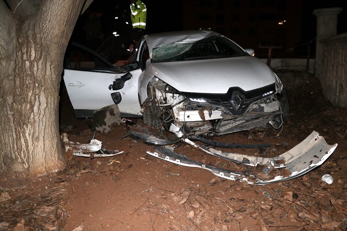 Elazığ\'da otomobil ağaca çarptı: 2 yaralı